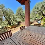 Bosco Magico