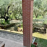 Bosco Magico Farm stay