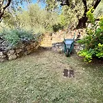 Bosco Magico *