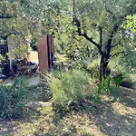 Bosco Magico *