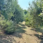 Bosco Magico * Verona