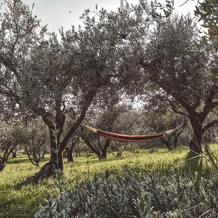Bosco Magico * Verona