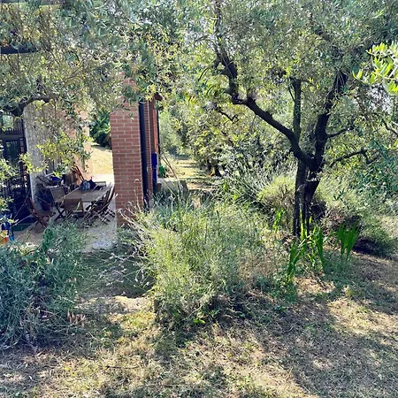 Bosco Magico *