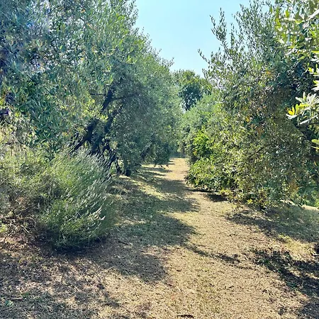 Bosco Magico * Verona