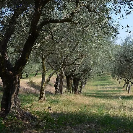 Bosco Magico Bauernhof *