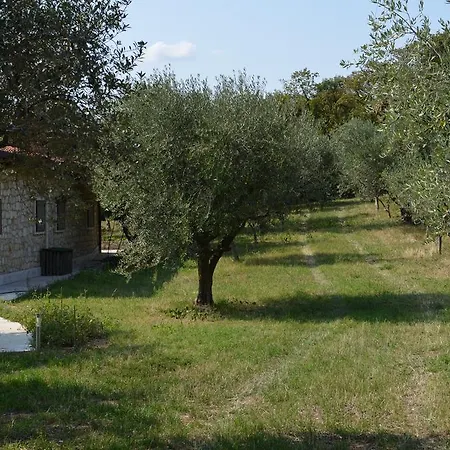 Bosco Magico Bauernhof *