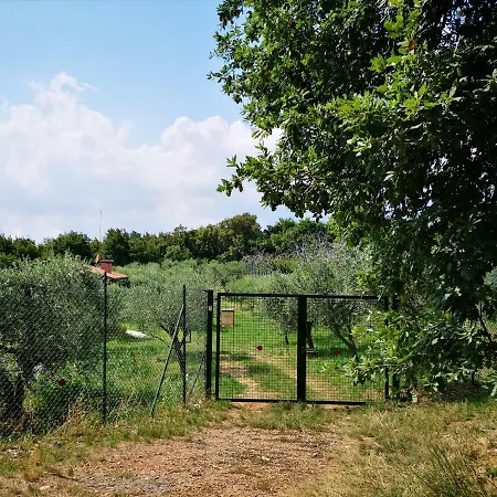 Bosco Magico