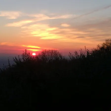 Bosco Magico * Verona